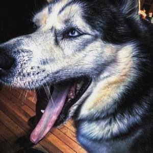 Meet your Posher, Nathan